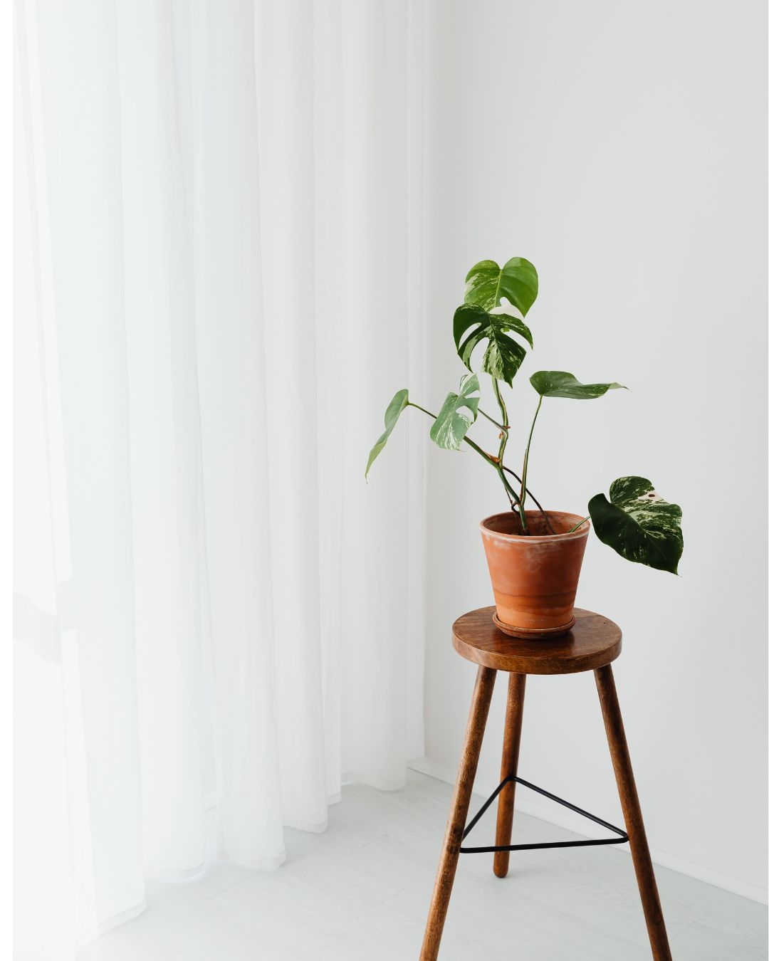 名称未設定のデザイン (4).jpg